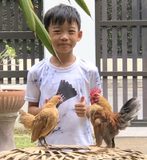 กฤติธี ศรีรัตนประสิทธิ์