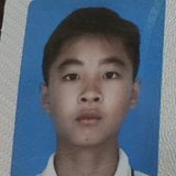 Pincheng Liu